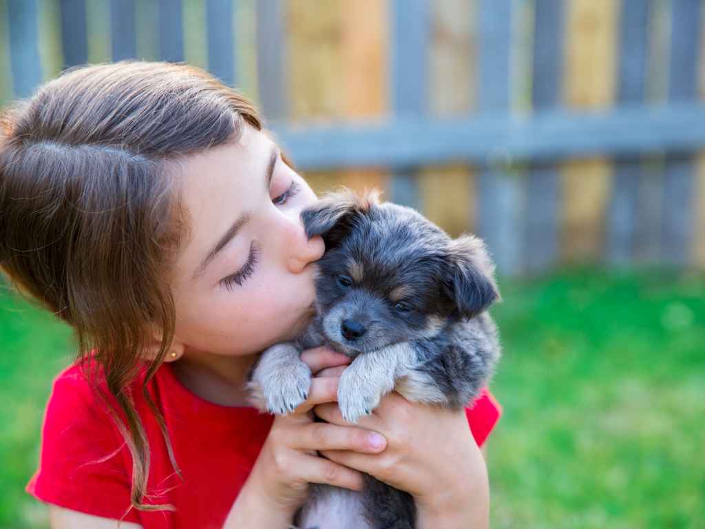 menina beijando a cara do filhote de cachorro no colo