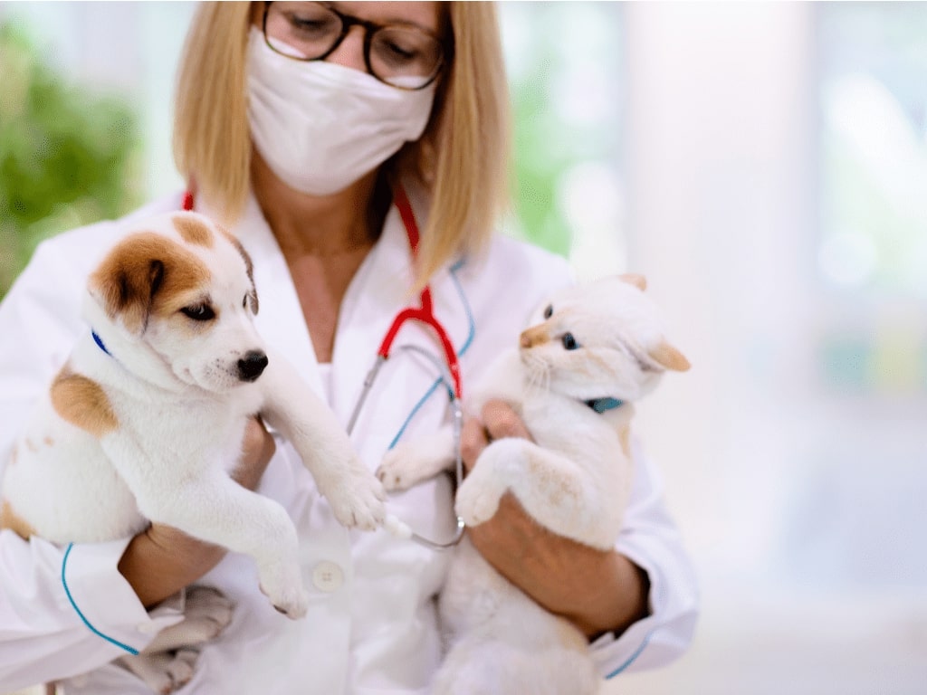 médica veterinária com filhote de cachorro e um gato no colo