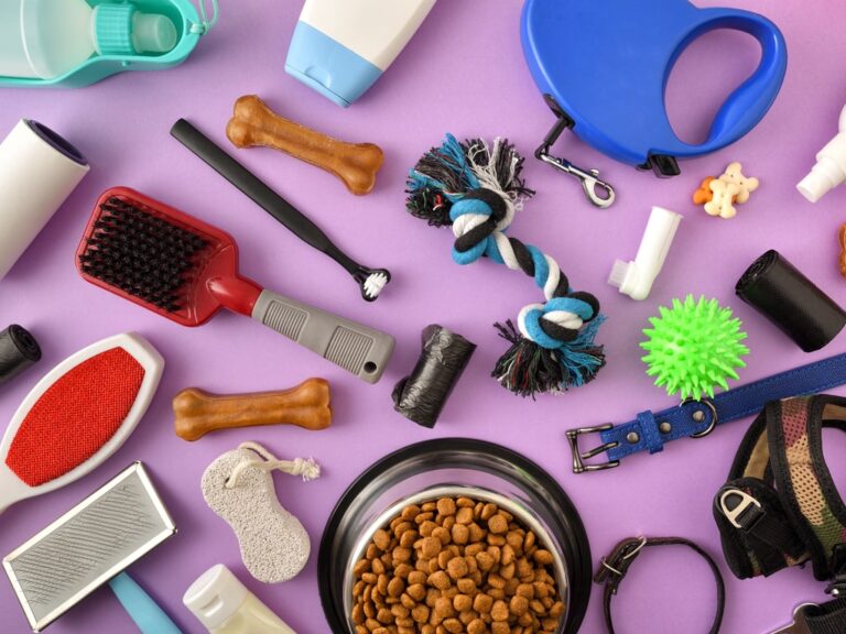 Quer montar uma distribuidora de produtos pet? Veja algumas dicas