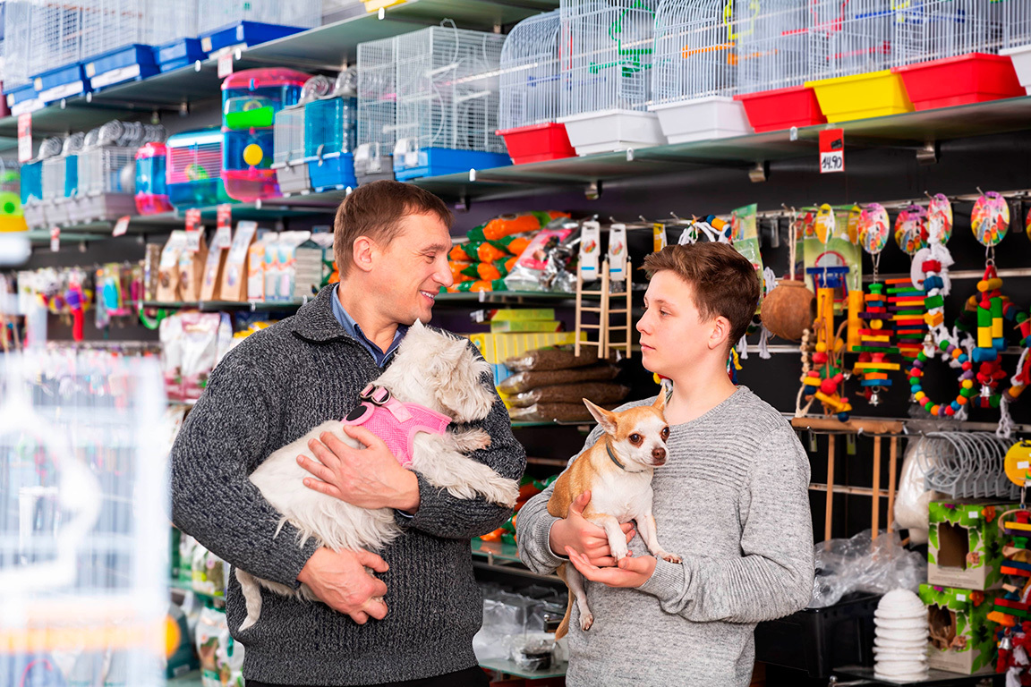 Comunicação com os clientes do pet shop: veja como melhorar essa relação