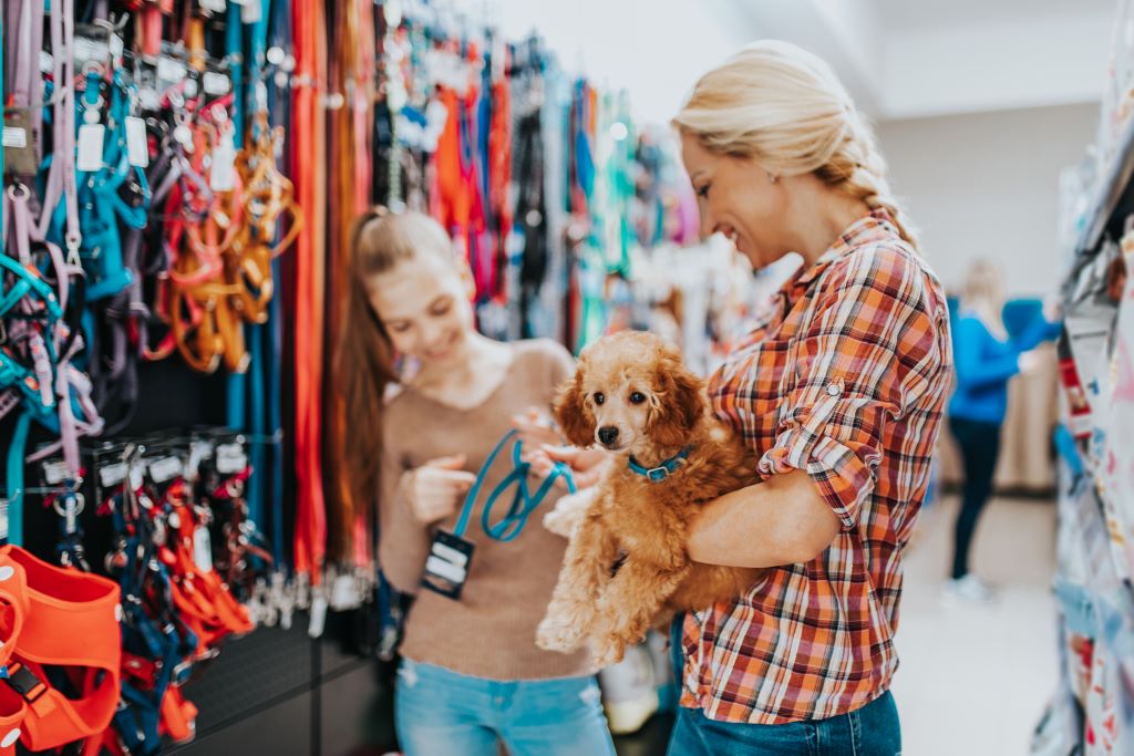 Foto de um corredor de um pet shop, com vários produtos nas prateleiras, a frente duas mulheres, uma delas está mostrando uma coleira para a outra que está com um cachorro caramelo no colo.