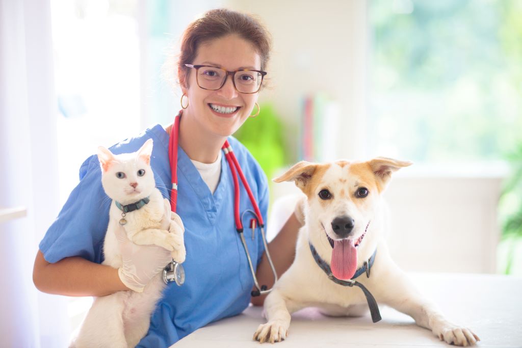 Visitas ao Veterinário: cuidando da saúde e felicidade do seu pet