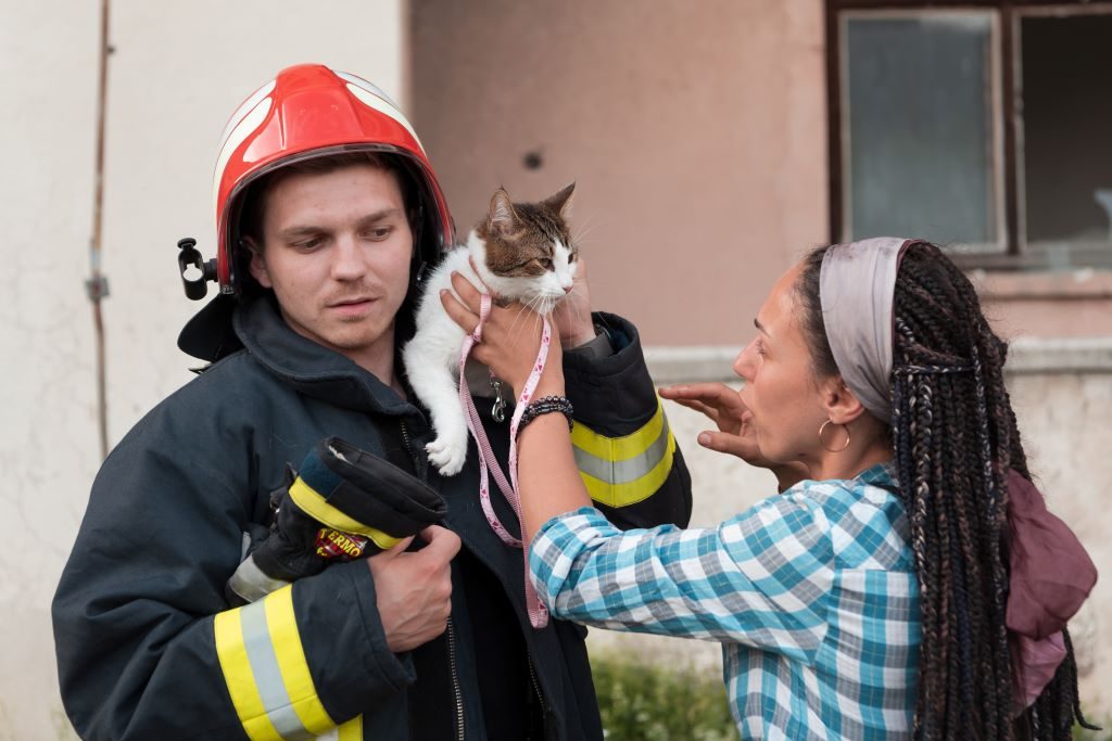na imagem, um bombeiro com um gato no colo, assustado e sua tutora fazendo carinho nele. Ambos parecem assustados.