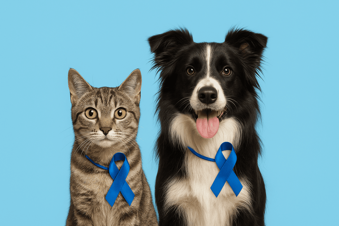 Participe do Novembro Azul Pet e saiba como prevenir o câncer de próstata e outras neoplasias em cães e gatos. Cuide da saúde do seu pet!