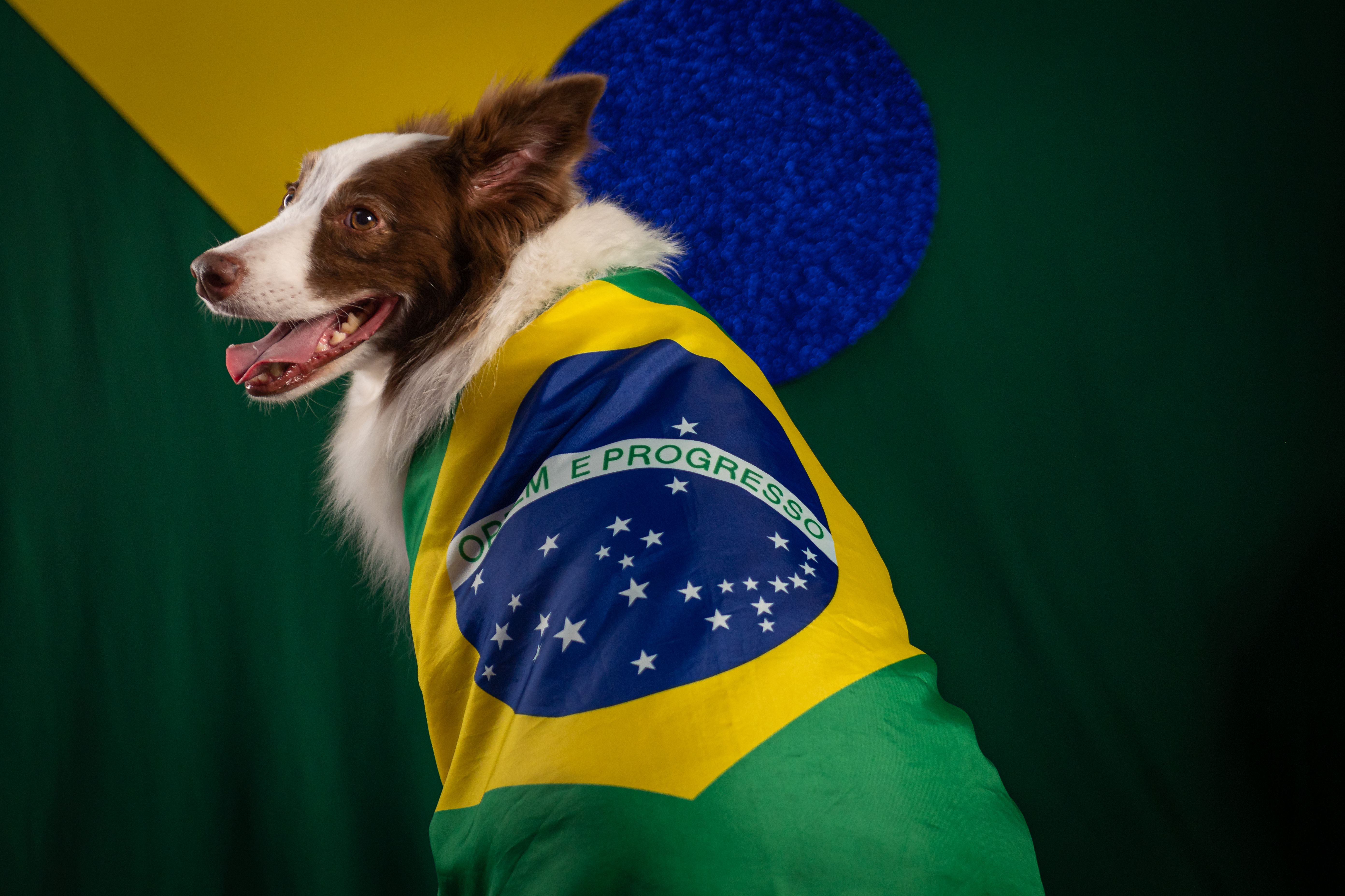 eventos mundiais de futebol